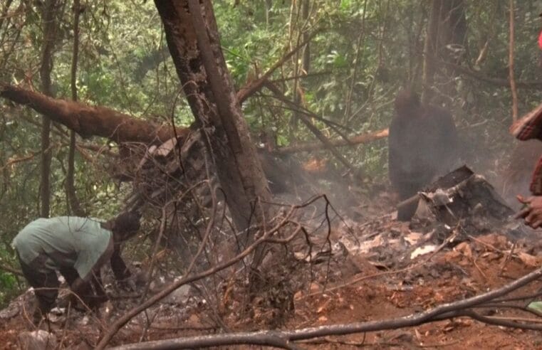 Ghana Helicopter Crash: Contributions of victims to national development will be missed – COMOG